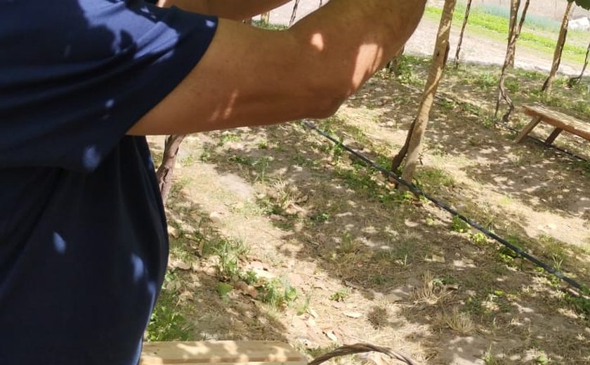DO SERTÃO À TAÇA, TANQUE D’ARCA BUSCA INOVAÇÃO NA VITIVINICULTURA E FORTALECE PROJETO DE DESENVOLVIMENTO DA TRÍPLICE DIVISA