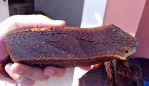 IMA analisa 'pacotes' encontrados em praias da costa alagoana