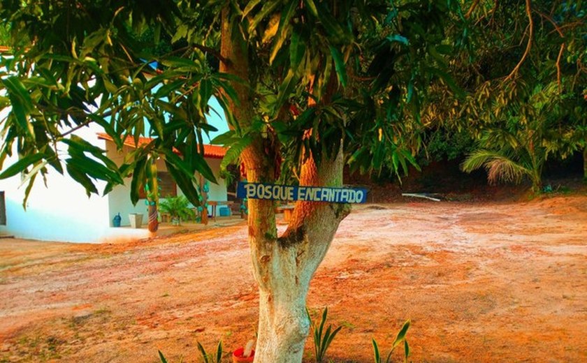 Alagoanos buscam proximidade com a natureza nas férias de janeiro