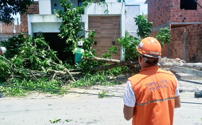 Defesa Civil de Maceió registra três ocorrências após ventos fortes no fim de semana