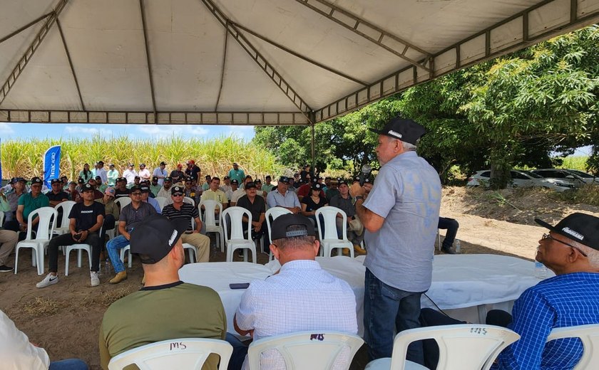 Pindorama promove Dia de Campo para colheita em lote experimental de arroz de sequeiro