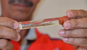Sesau alerta mais uma vez sobre medidas de prevenção contra a dengue