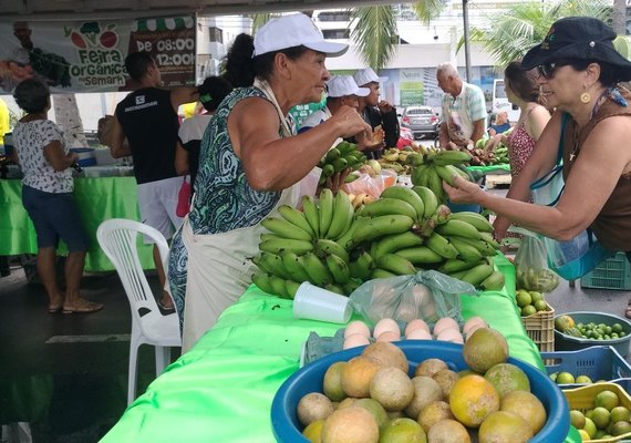 Feira Orgânica da Semarh chega a 10º edição na próxima terça (1º)