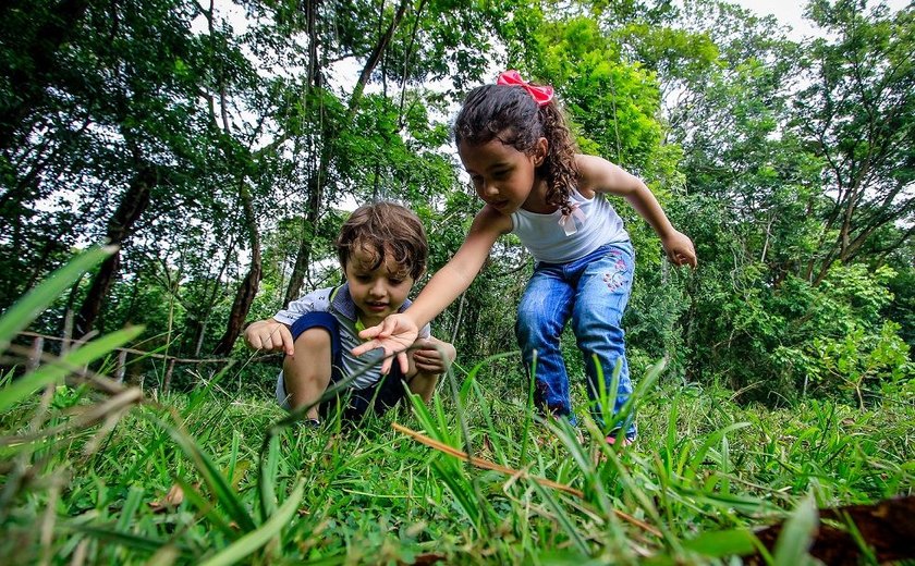 Parque do Horto promove educação ambiental