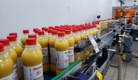 Pindorama moderniza mix de produtos da fábrica de alimentos