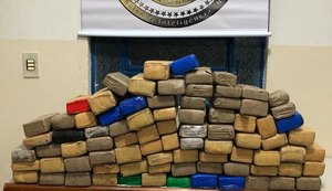 PC prende homem e apreende mais de 60 Kg de maconha