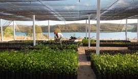 Projeto coordenado pela Ufal Penedo recebe investimento de R$ 2,5 milhões