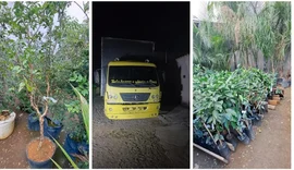 Dono de floricultura é preso suspeito de furtar R$ 300 mil em plantas de concorrente em Divinópolis