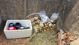 Polícia Civil incinera drogas apreendidas em Palmeira dos Índios