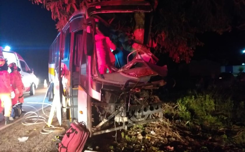 Três pessoas morrem e três ficam gravemente feridas após ônibus colidir em árvore