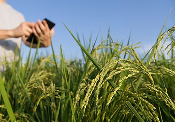 Senar recebe inscrições para curso gratuito de Técnico em Agronegócios