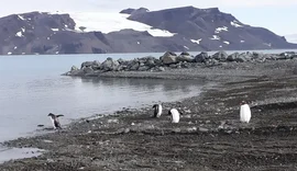 Mapeamento inédito revela extensão de área livre de gelo na Antártica