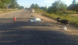 Homem sem capacete perde controle de motocicleta, bate a cabeça e morre