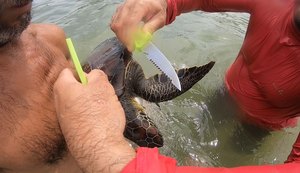 No lugar certo e na hora certa: presidente do Biota salva tartaruga marinha capturada acidentalmente
