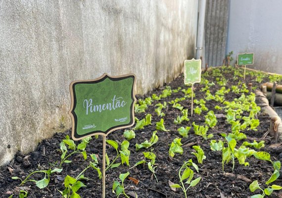 Desenvolvimento Sustentável instala horta em creche municipal na Pitanguinha