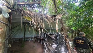 Polícia Federal e PM de Alagoas destroem 2,8 mil pés de maconha