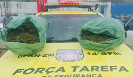 PM apreende em Joaquim Gomes 20 kg de maconha em porta-malas de carro