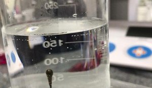 Pesquisadores estão empenhados em encontrar respostas para desastre ambiental no Nordeste