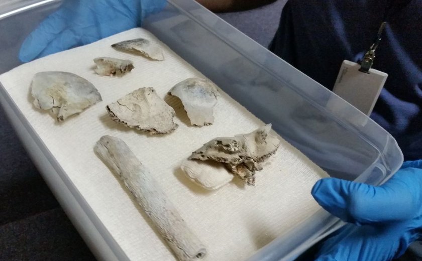 Fragmentos do crânio de Luzia são encontrados no Museu Nacional
