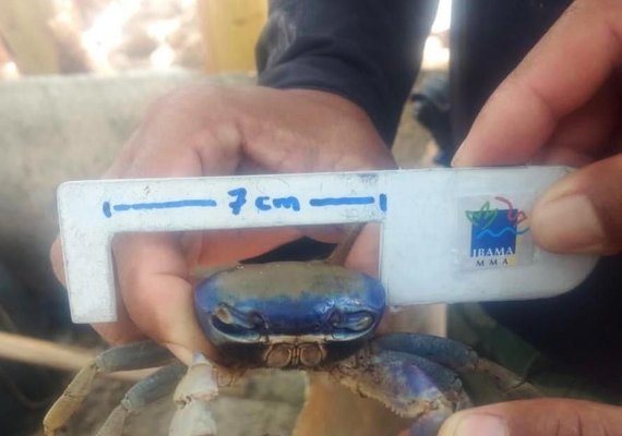 Pescador é multado em quase 200 mil reais por pesca de animal em extinção