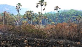 Fogo na Chapada é declarado extinto, ICMBio confirma reabertura do parque