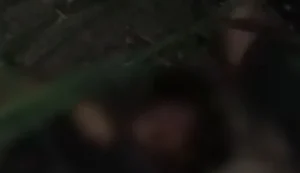 Mulher morre e homem fica ferido após queda de moto em Ibateguara