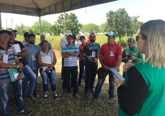 CPLA incentiva o crescimento dos produtores do semiárido alagoano