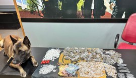 Polícia apreende cerca de 2 mil pedras de crack, munições e outras drogas em Palmeira dos Índios