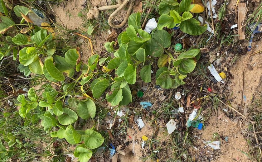 Microplásticos: uma ameaça invisível à saúde e ao meio ambiente