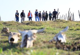 FPI flagra abate clandestino de bovinos e apreende carne imprópria para consumo