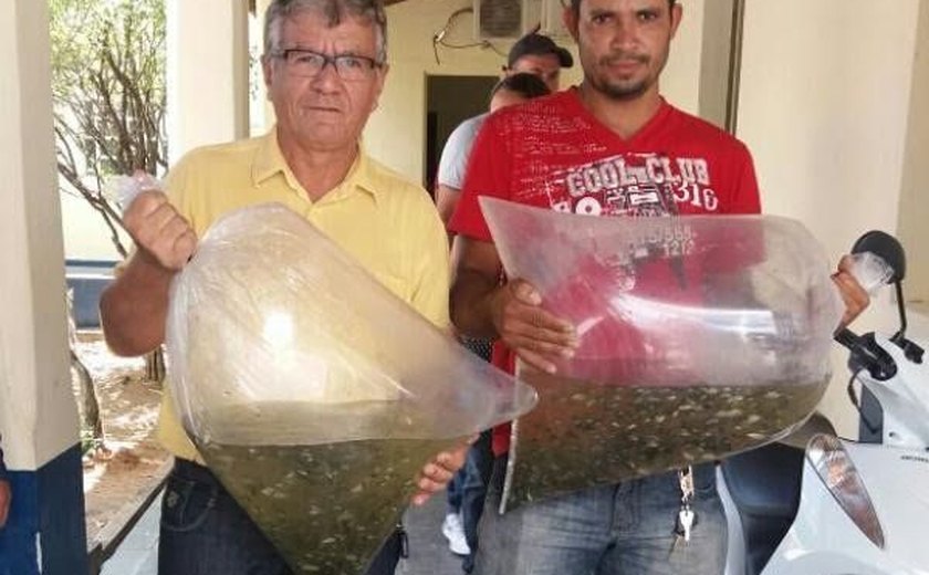 Prefeitura e Governo do Estado entregam 20 mil alevinos em Santana