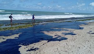 Assembleia discute derramamento de óleo nas praias do Nordeste