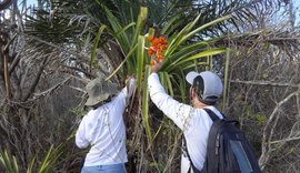 Expedição Caatinga revela espécie rara no nordeste