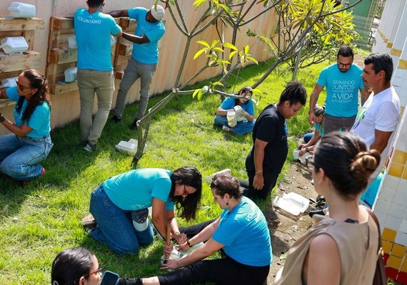 Horta implantada por voluntários beneficia mais de 800 estudantes em Alagoas