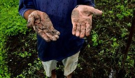 MPT participa de operações conjuntas que resgataram 1.671 pessoas da escravidão em 2021