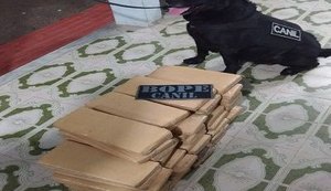 BOPE apreende 46 quilos de maconha com passageira de ônibus clandestino