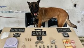 Com auxílio de cão farejador, PM prende homem em ponto de drogas em Arapiraca