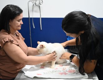 Prefeitura destaca avanços das políticas de bem-estar animal em Maceió
