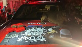 Chefe de facção criminosa em Teotônio Vilela é preso em Campo Alegre