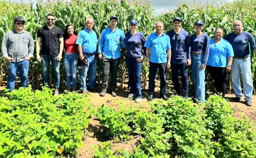 Arapiraca investe em pesquisa de novos cultivares de feijão, milho e mandioca