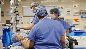 Rim de porco mantém paciente sem diálise por 271 dias após transplante