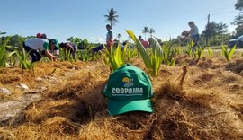 Coopaiba lidera movimento pela criação de uma nova Rota de Produção Agrícola