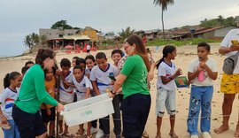 Vídeos: soltura de 142 filhotes de tartaruga-de-pente mobiliza comunidade em Riacho Doce