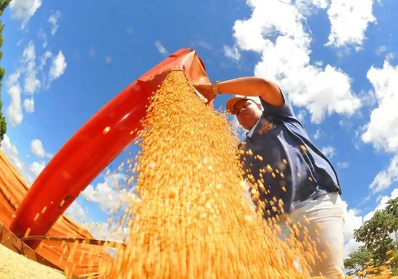 Produção de grãos pode chegar a 353,4 milhões de toneladas
