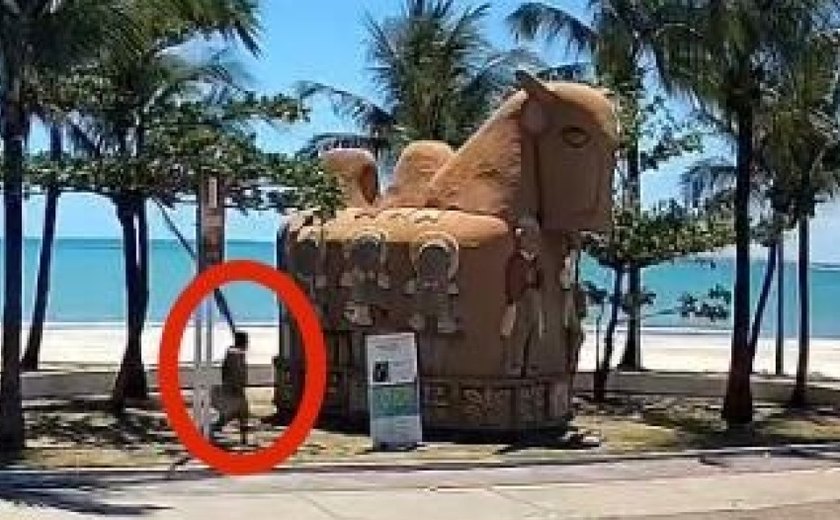 Segurança Cidadã divulga imagens do suspeito de atear fogo na escultura “O Boi”, no Jaraguá