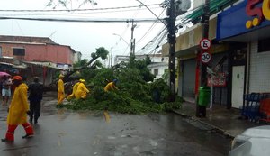 Pernambuco decreta emergência em 12 municípios por causa das chuvas