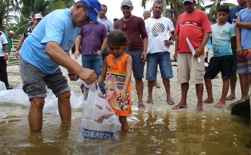 “Pantanal alagoano” recebe peixamento da Codevasf para manutenção do estoque pesqueiro