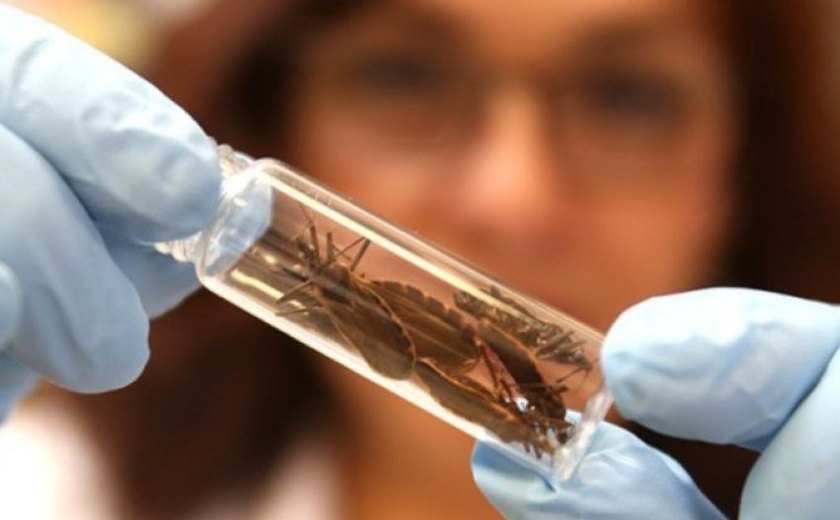 Secretaria de Saúde orienta maceioenses sobre a doença de Chagas