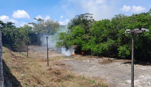 Moradores da Serraria denunciam retirada de árvores nativas de horto florestal, mas prefeitura nega