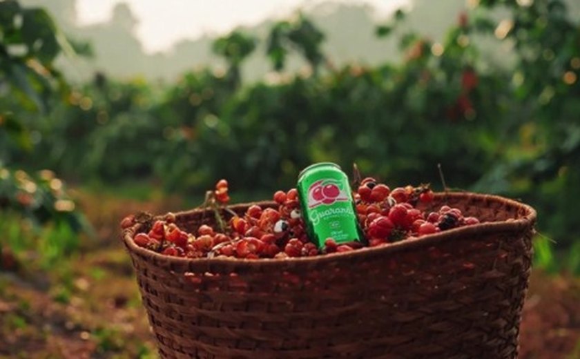 Ambev e Guaraná Antarctica vão produzir e doar 100 mil mudas em Maués